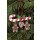 Christian Ulbricht Baumbehang Zuckerstange mit Lebkuchen 7,0 / 5,4 cm