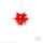 Herrnhuter Sterne Papier 40 cm roter Kern/weiße Spitzen