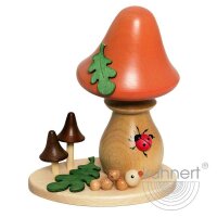 Kuhnert Rauchpilz Sandhäubling Höhe 14 cm