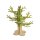 Kuhnert Mini Eulenbaum für Eulenkinder Höhe 25 cm